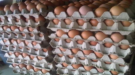 Cartón de huevos llegó a Bs 3.000 y el kilo de carne a Bs 2.800