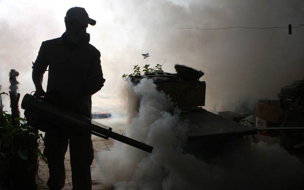 Venezuela notificó 18.966 casos con síntomas de dengue a finales de diciembre