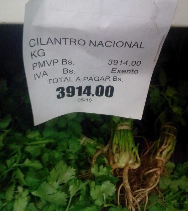 Un kilo de cilantro cuesta más que una semana de trabajo