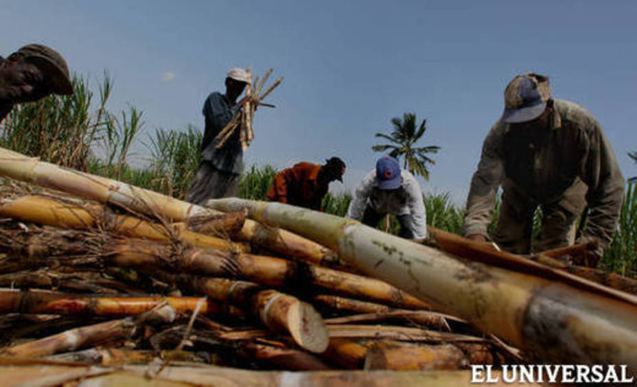 Producción de azúcar tiene un déficit del 75%