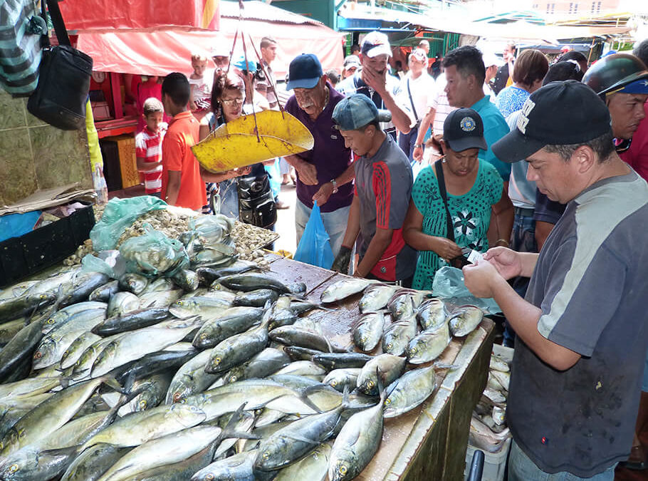 Precio del pescado se va a las nubes y se aleja de las mesas de los venezolanos