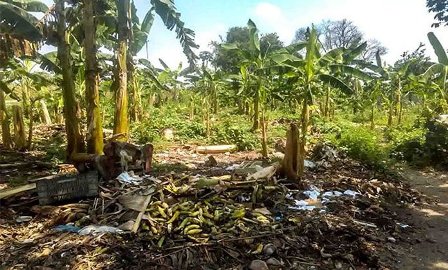 Productores de Lara varados por falta de gasolina