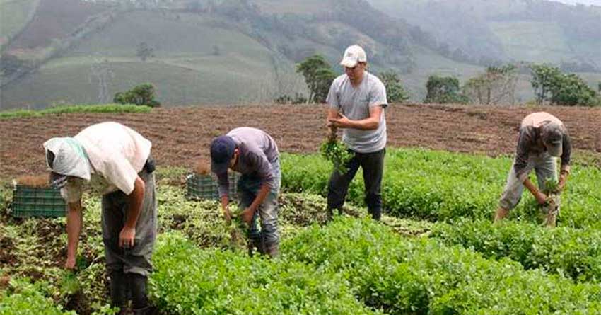 Sesgo político en otorgamiento de créditos, asfixia el agro venezolano