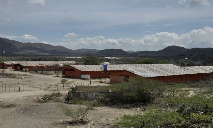 Reducida en 70% producción de pollo en el estado Lara