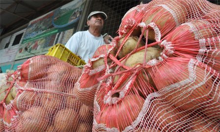 Productores de papa se debaten entre cambio de rubro y bajos rendimientos