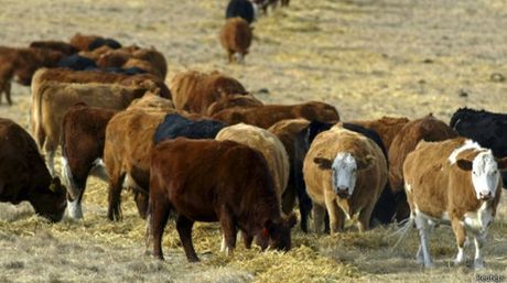 La inseguridad impidió la siembra de 49.000 toneladas de alimentos