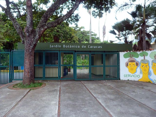 Denunciaron asaltos en el Jardín Botánico de la UCV