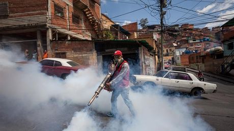 Medicina Preventiva UCV calcula 700 casos de difteria en el país