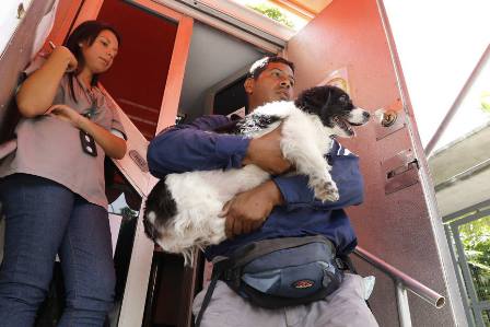 Faltan centros de atención para mascotas enfermas