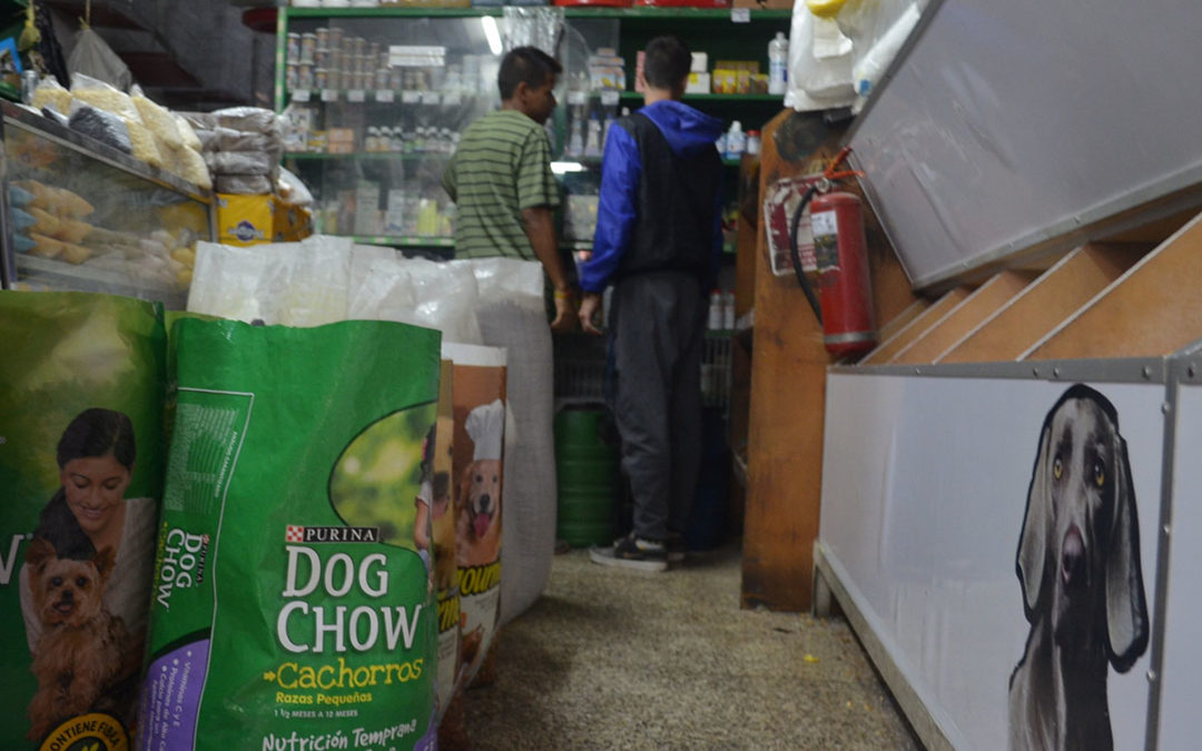 Alimentos para mascotas aumenta cada semana