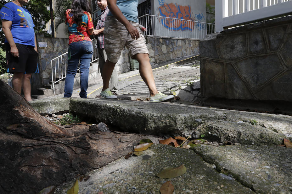 Condominios costean reparaciones por falta de poda y mantenimiento urbano