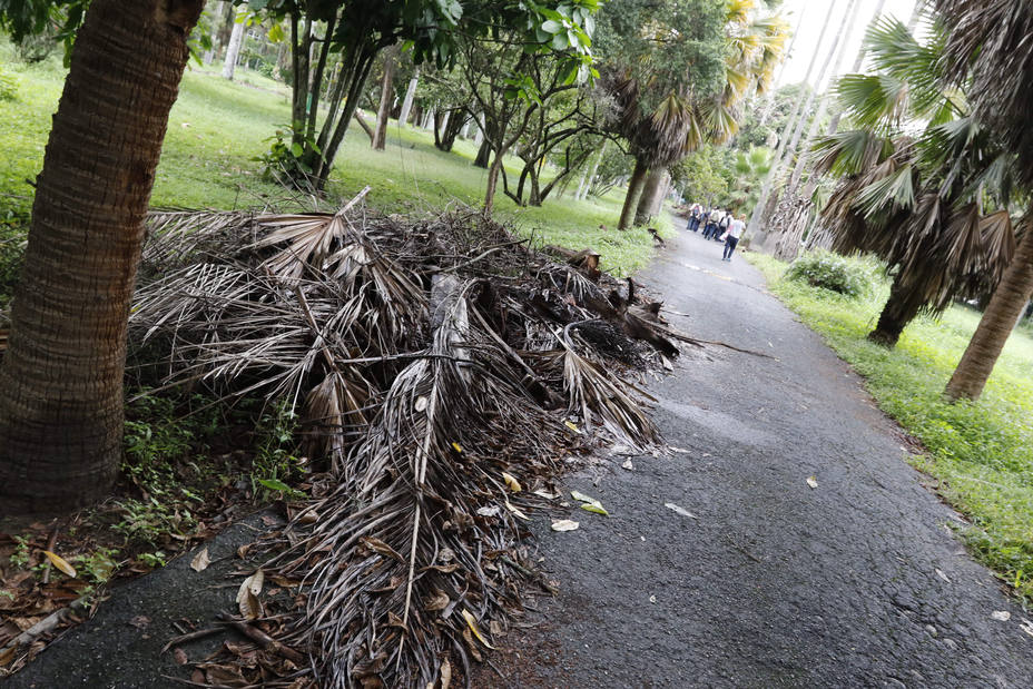 Pulmón vegetal de Caracas sufre por falta de presupuesto y vigilancia