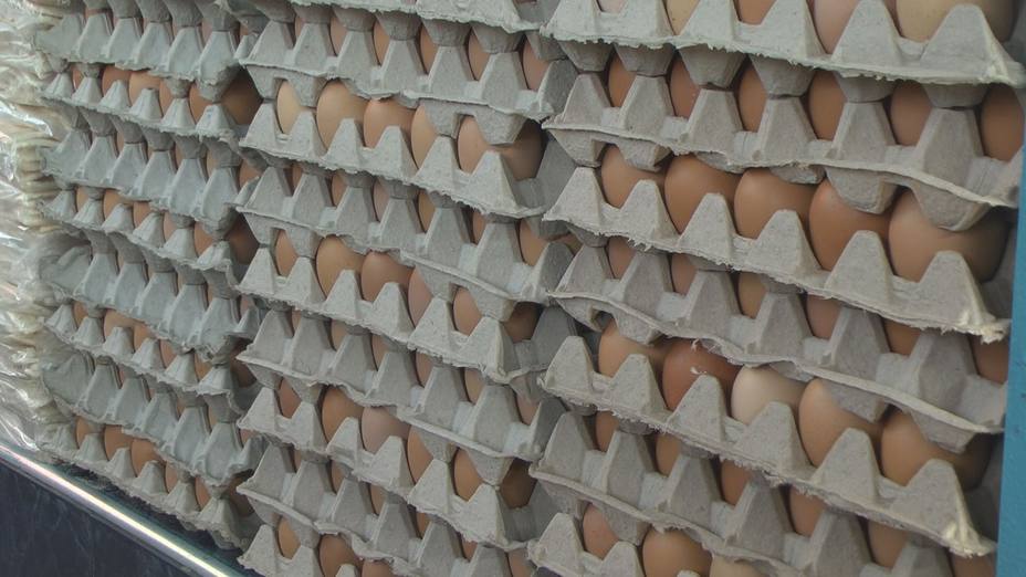 Precio del cartón de huevos no baja de Bs 400.000 en mercados municipales