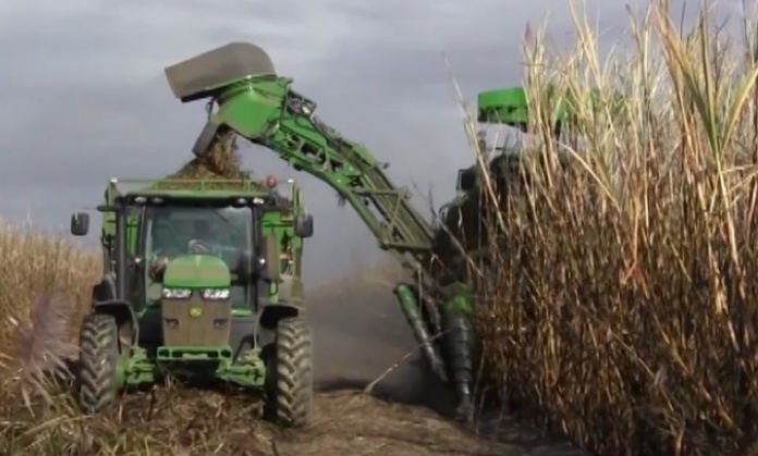 Fedeagro: Gobierno debe asumir que sus decisiones fueron erradas