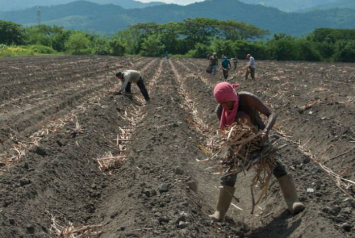 “Nuestra economía siente los efectos de la guerra en Ucrania”, afirma Asociación Venezolana de Agricultura Familiar