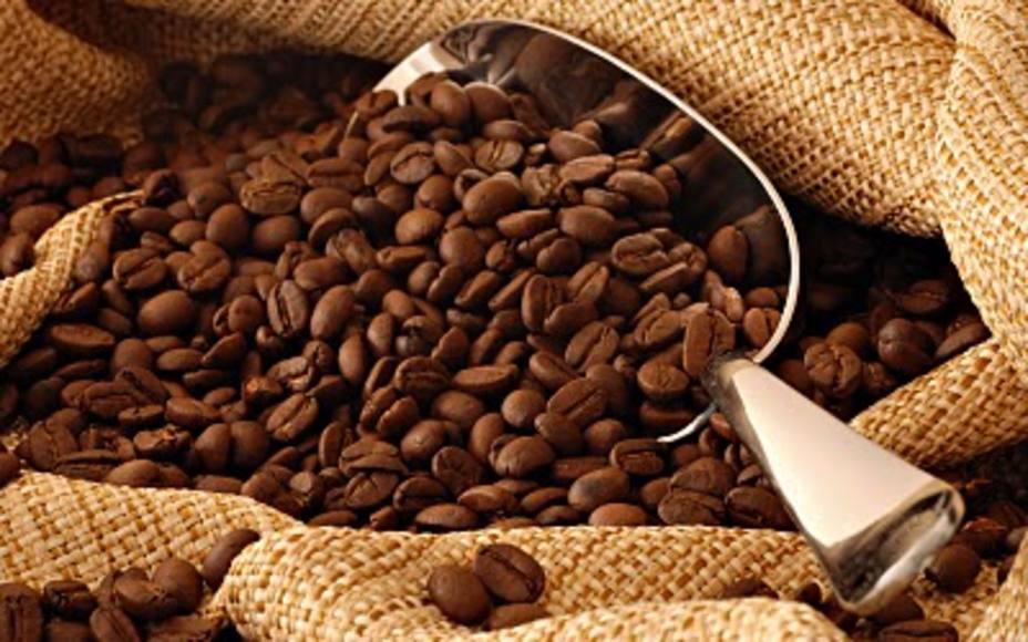 Denuncian que milicia bolivariana decomisa café a productores