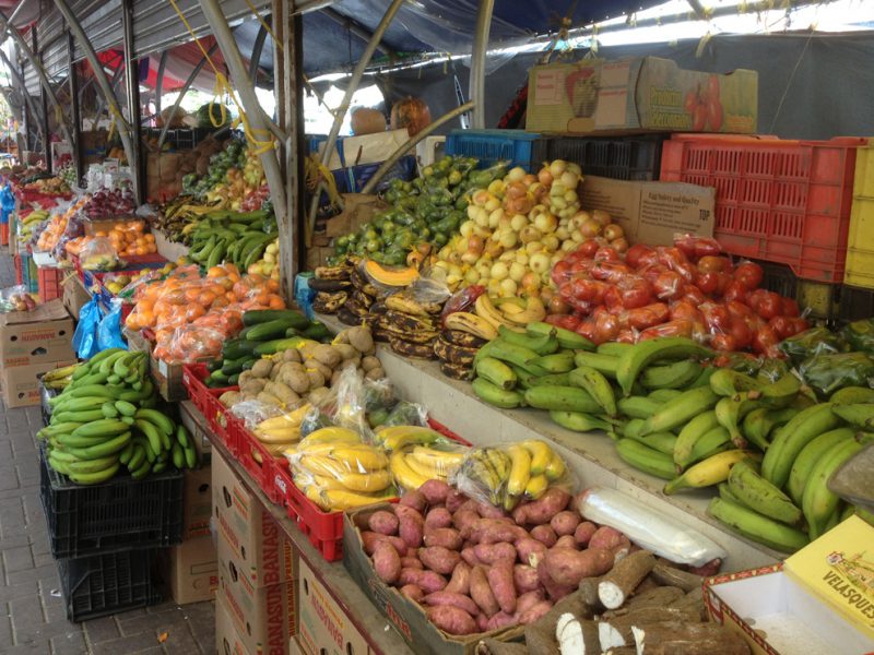 Precio del kilo de cebolla saltó de Bs. S 1.950 a Bs. S 3.250 en siete días