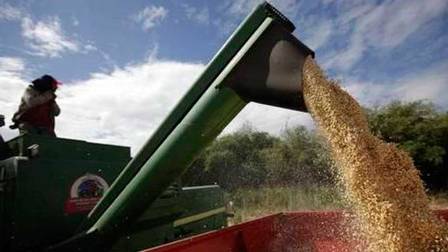 Productores del sistema de riego: Escasez pone en riesgo siembra de arroz