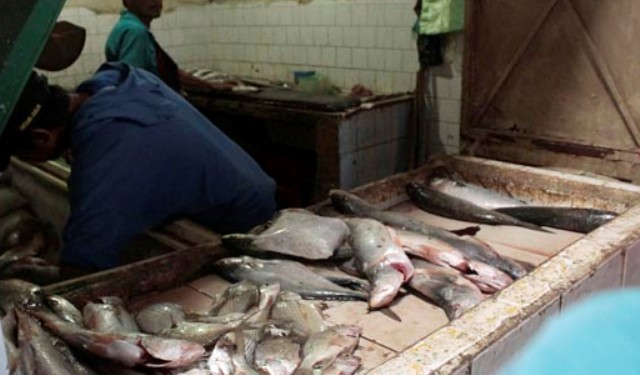 Precios del pescado se disparan al doble