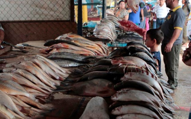 Ventas de pescado cayeron 60% en esta Semana Santa