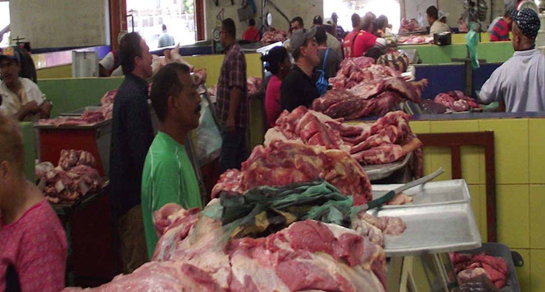 Producción de queso y carne se paralizó por sequía en Anzoátegui