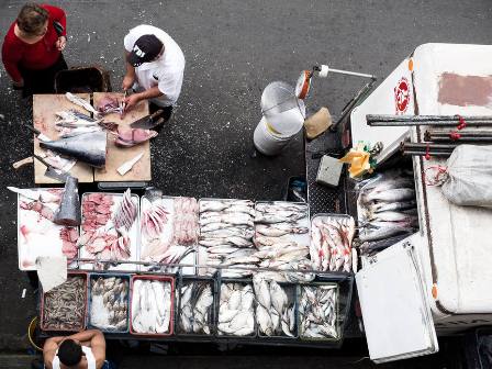 El lujo de comer pescado en Semana Santa: 655,7% subió el precio en un año