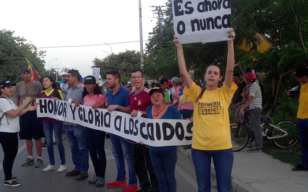 Comités de la Democracia activaron pancartazo contra la constituyente