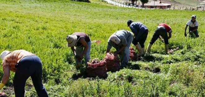 Fedeagro se une al paro cívico de 48 horas convocado por la MUD