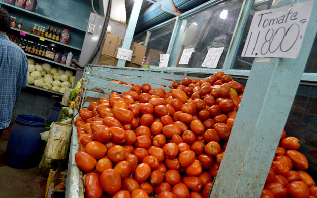 Kilo de tomate supera la barrera de los Bs 10.000