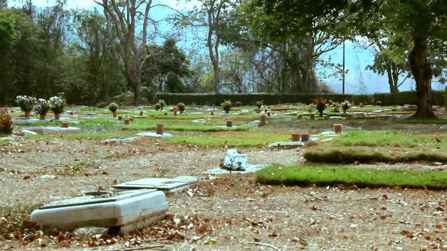 Abandono, robo de placas y profanaciones amenazan al Cementerio del Este