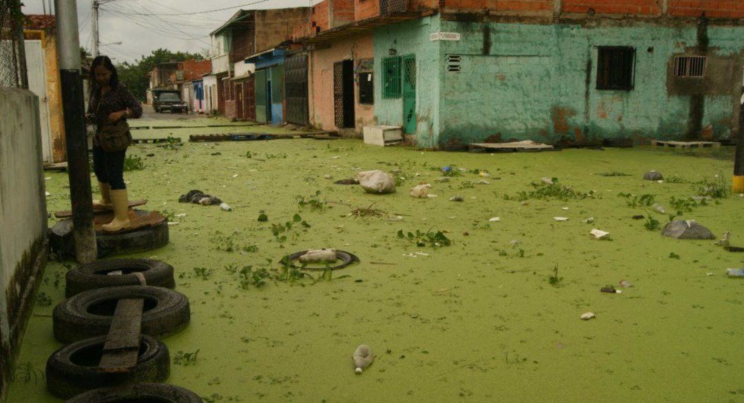 Lago de Valencia: Sarna, zika y el peligro de que el agua arrase con todo