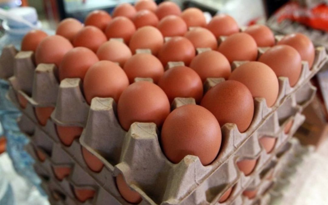 Precio del cartón de huevos roza el salario mínimo mensual
