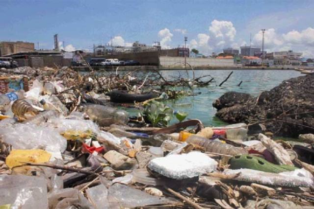 Denuncian que costas del Lago de Maracaibo están repletas de desechos