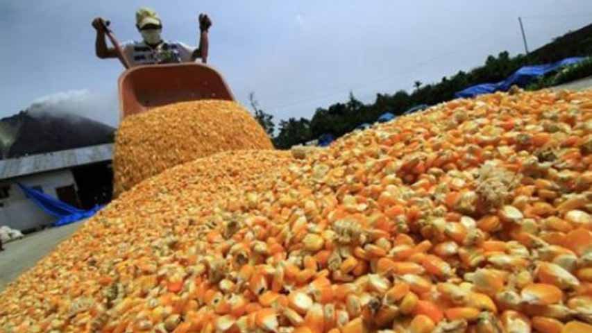 Tiempos difíciles para la industria de granos en Venezuela, según informe del Dpto. de Agricultura de EEUU