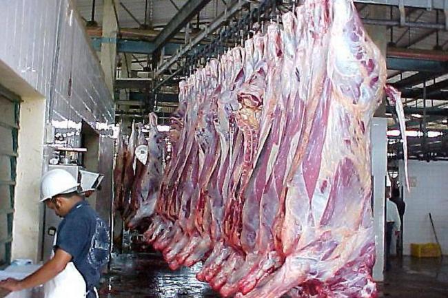 “Mataderos no inciden en precio de la carne”, dice Fedenaga.