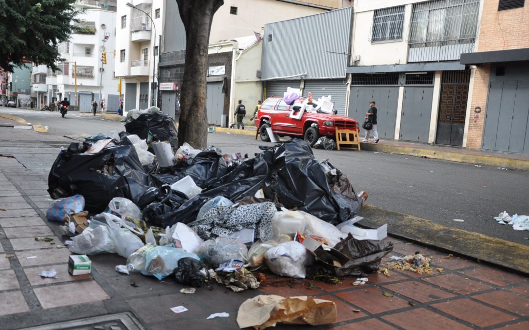 Lluvia y acumulación de basura genera proliferación de alacranes en zonas de Caracas