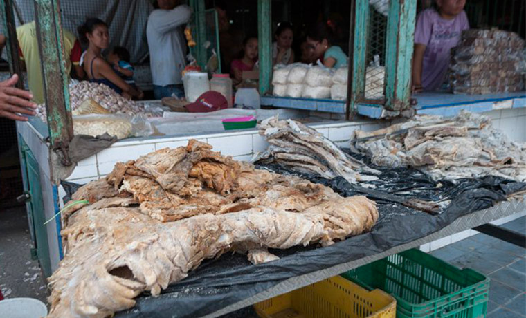 Altos precios del pescado en Lara hará imposible su compra durante Semana Santa