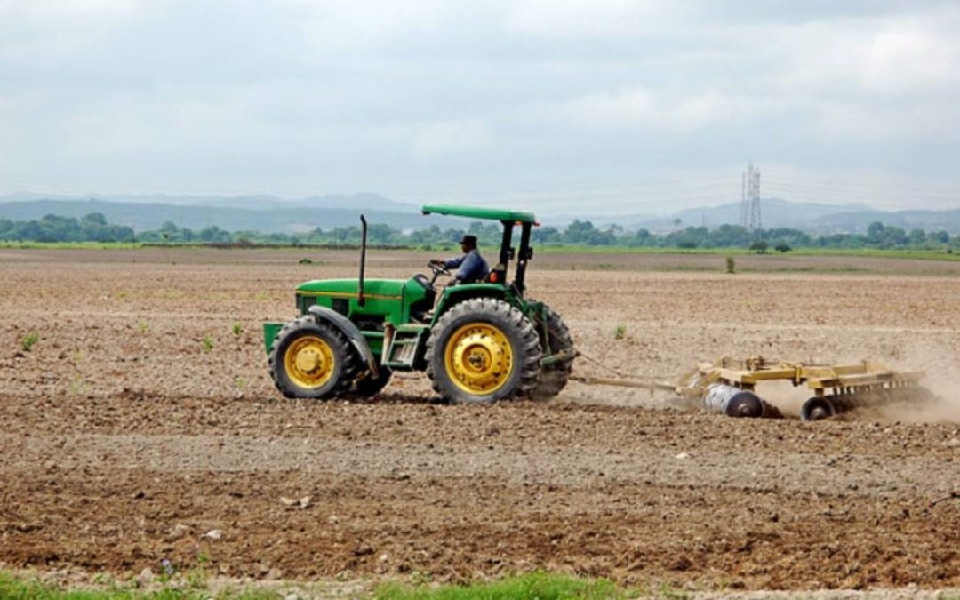Fedeagro: Sector agrícola tiene una producción del 25% en el país