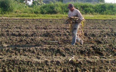 Advierten que falta de combustible arriesga 80% de la producción nacional