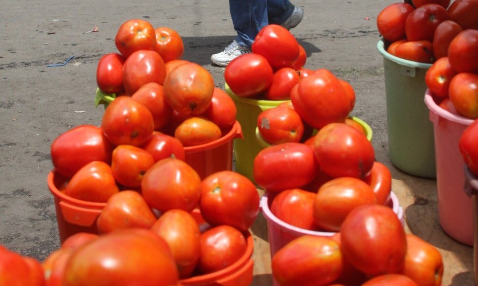 Bono de alimentación alcanza para comprar un kilo de tomates