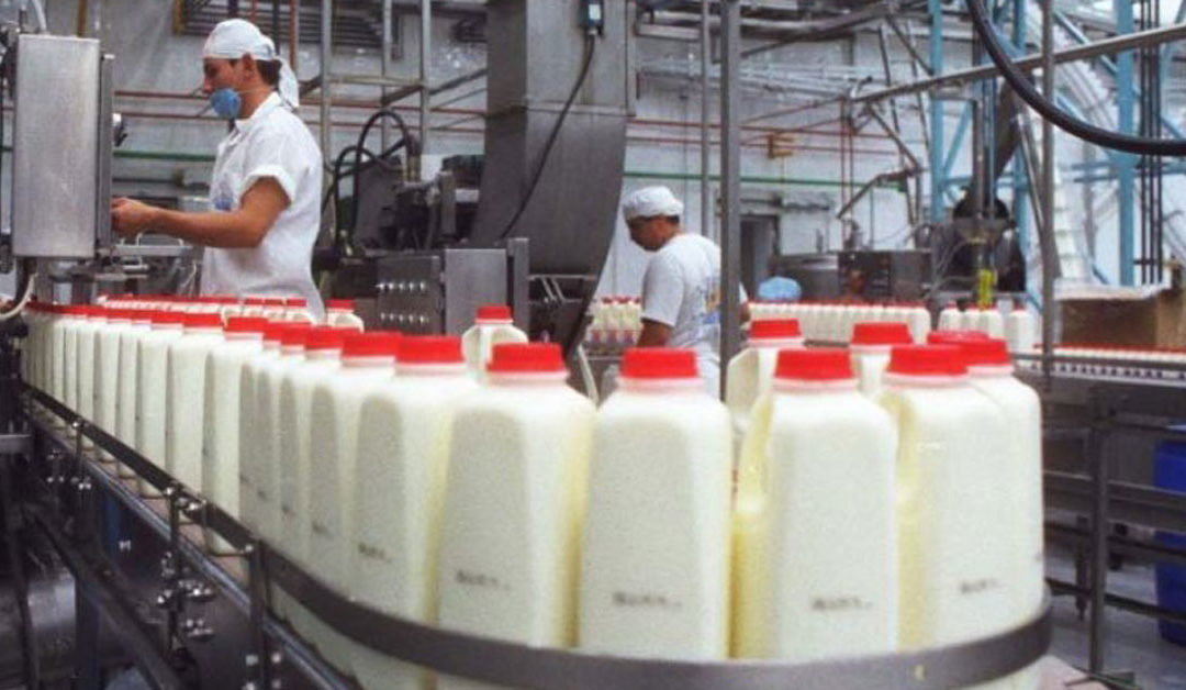 Producción de leche no llega al 30% de lo que necesita el país