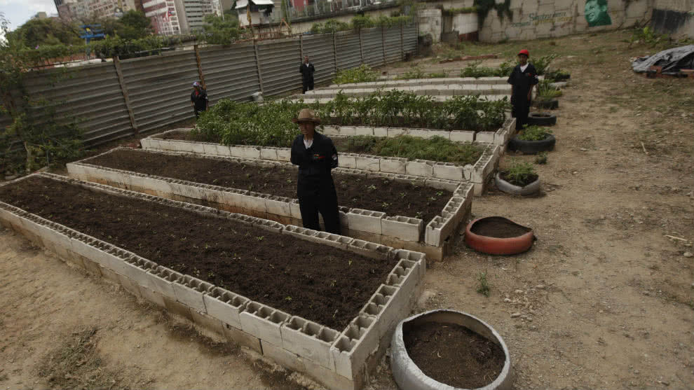 Fedeagro: solo abastecemos el 25 % del consumo con producción nacional