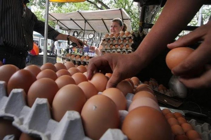 Denuncian el cierre de 120 de 138 granjas avícolas en Táchira