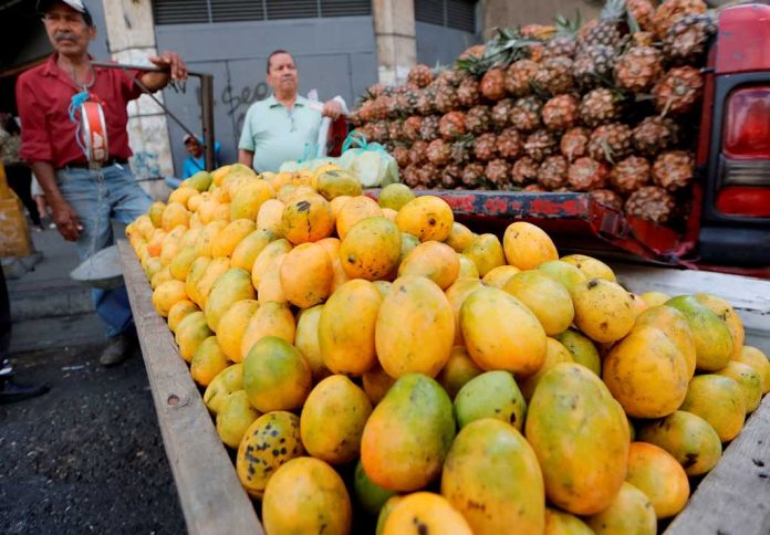 Ante el incremento de precios en alimentos, caraqueños comen mangos para aliviar el hambre