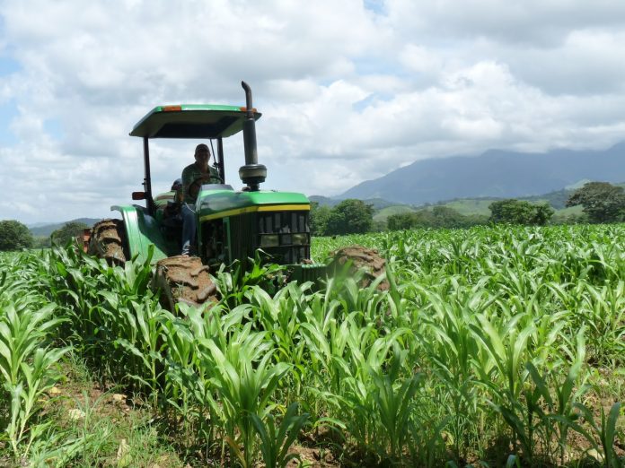 Fedeagro: Entre 80% y 90% de productores primarios están excluidos de mesas de diálogo