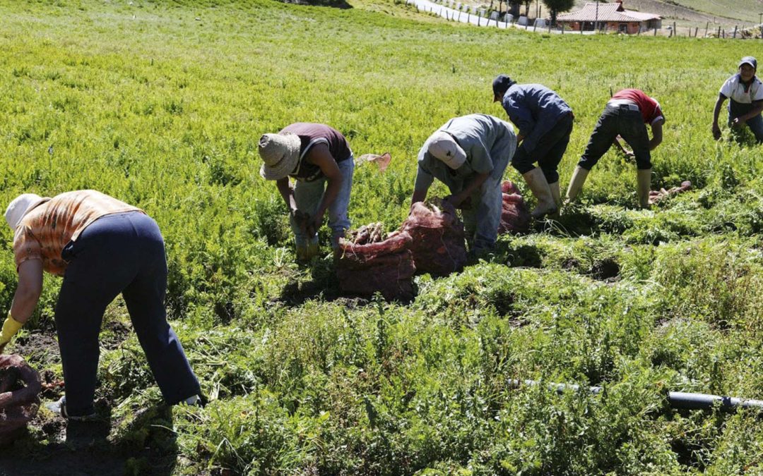 Déficit de diésel paraliza traslado de alimentos