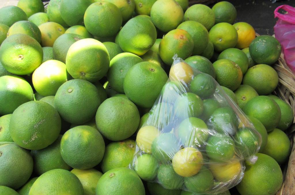 A 18 mil bolívares el kilo se consiguen los limones para Semana Santa en Vargas