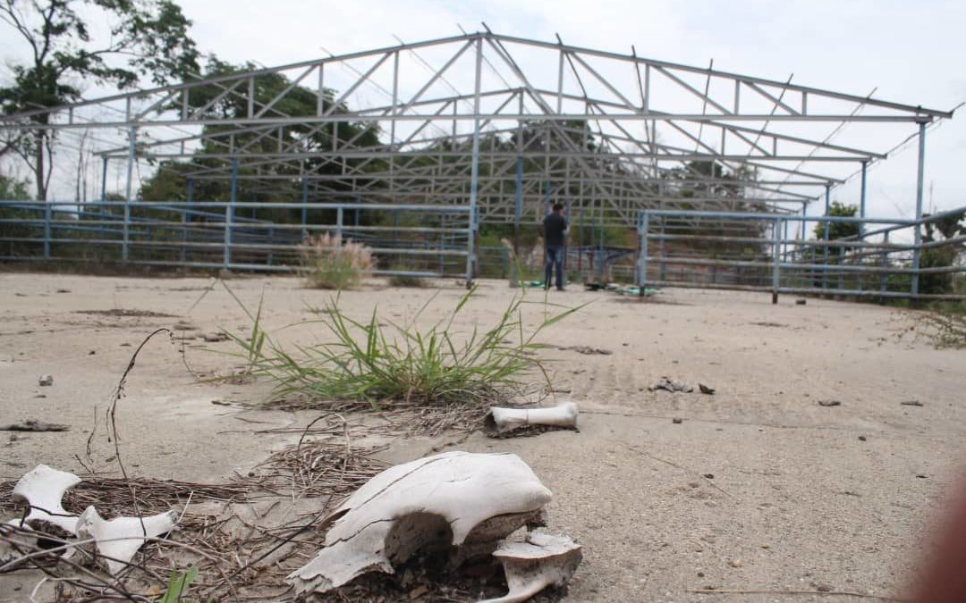 Habitantes de la parroquia Río Negro en Machiques viven en el olvido