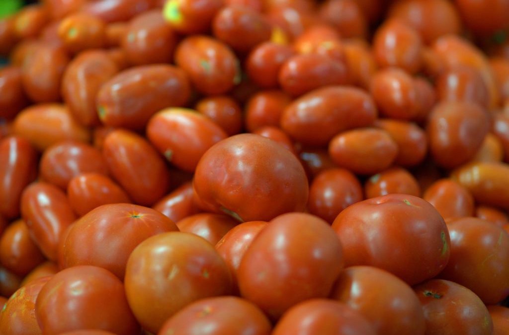 Precio del kilo de tomate alcanza Bs. 130.000