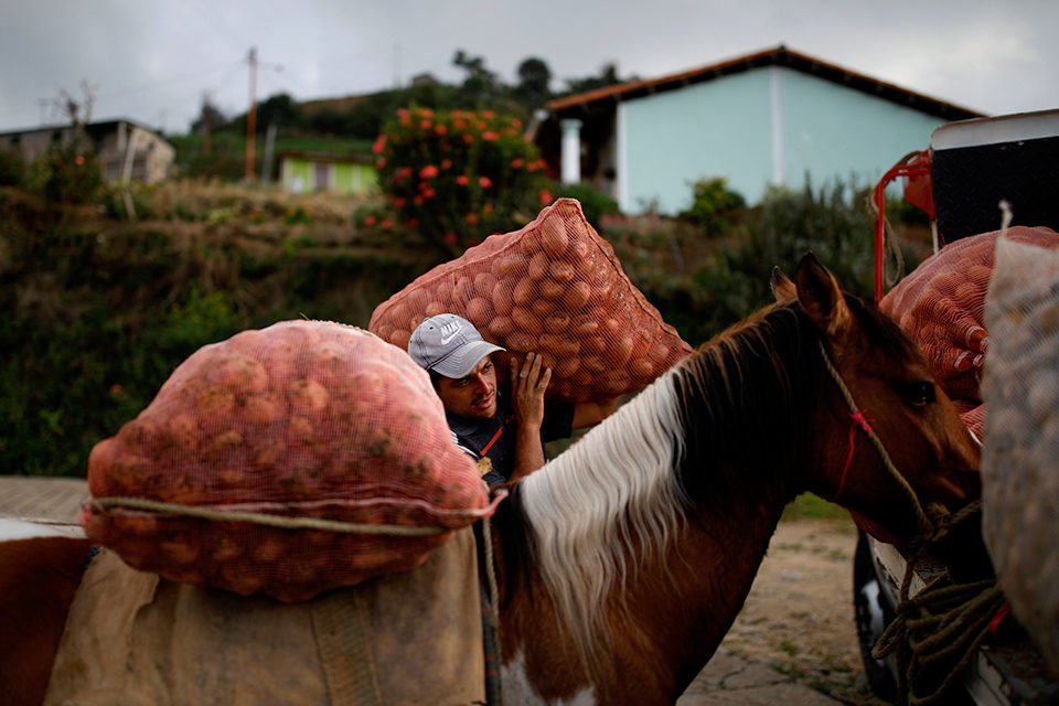 Producción en declive: Se dispara crisis alimentaria por escasez de gasolina